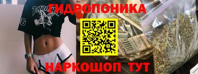 a pvp Можга