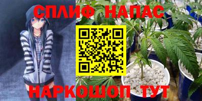 прущие крисы Моздок