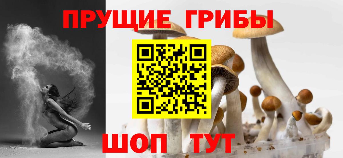 Галлюциногенные грибы Magic Shrooms  Псилоцибиновые грибы Psilocybine cubensis  Вход с VPN  Советская Гавань 